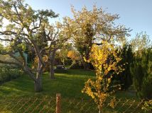 Działka rod Gdynia Oksywie, ul. Stanisława Żółkiewskiego. Zdjęcie 3