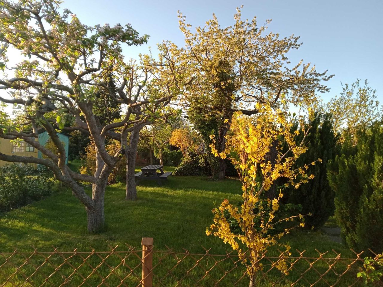 Działka rod Gdynia Oksywie, ul. Stanisława Żółkiewskiego. Zdjęcie 4