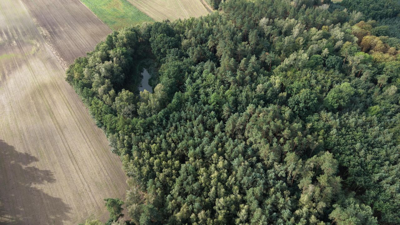 Działka inwestycyjna Kiczarowo. Zdjęcie 4