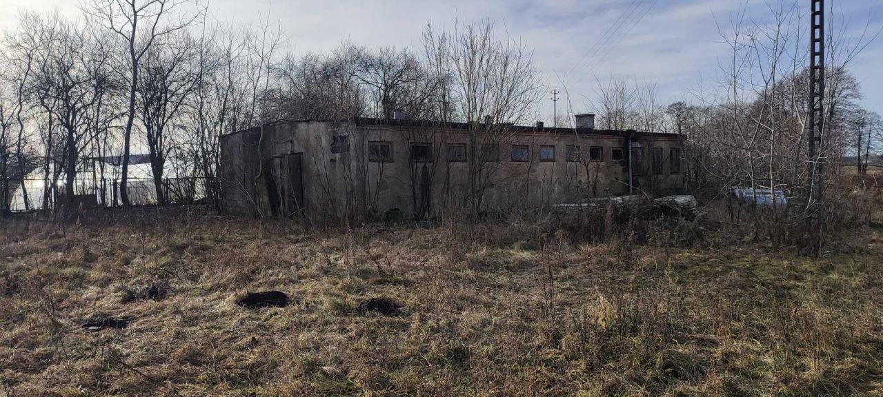 Hala/magazyn Kociszew. Zdjęcie 6