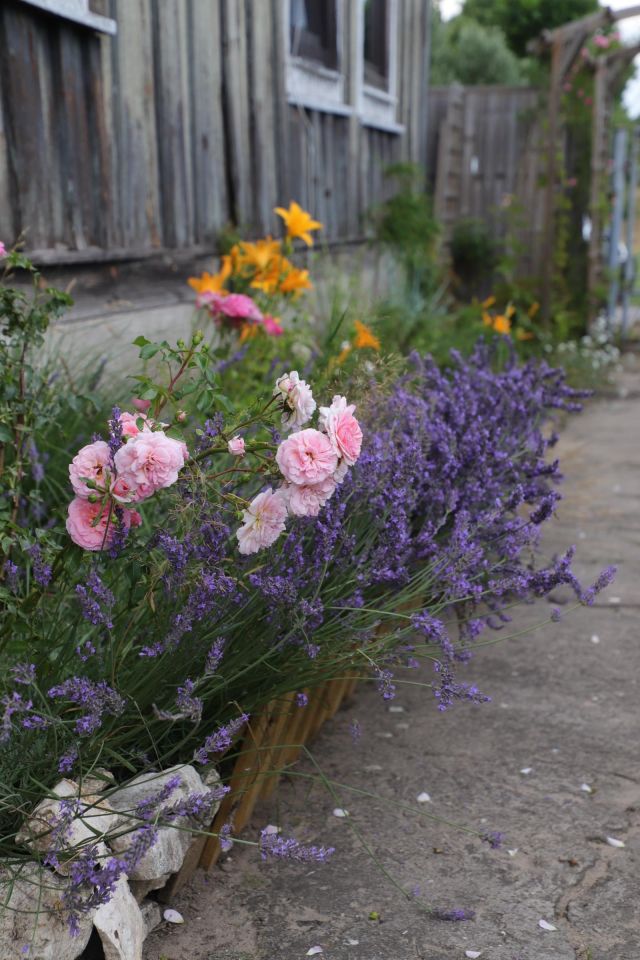 dom wolnostojący, 2 pokoje Parkoszowice, ulica. Zdjęcie 57