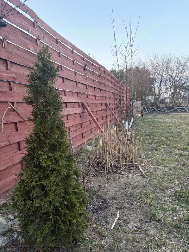 dom wolnostojący Wojcieszyce. Zdjęcie 5