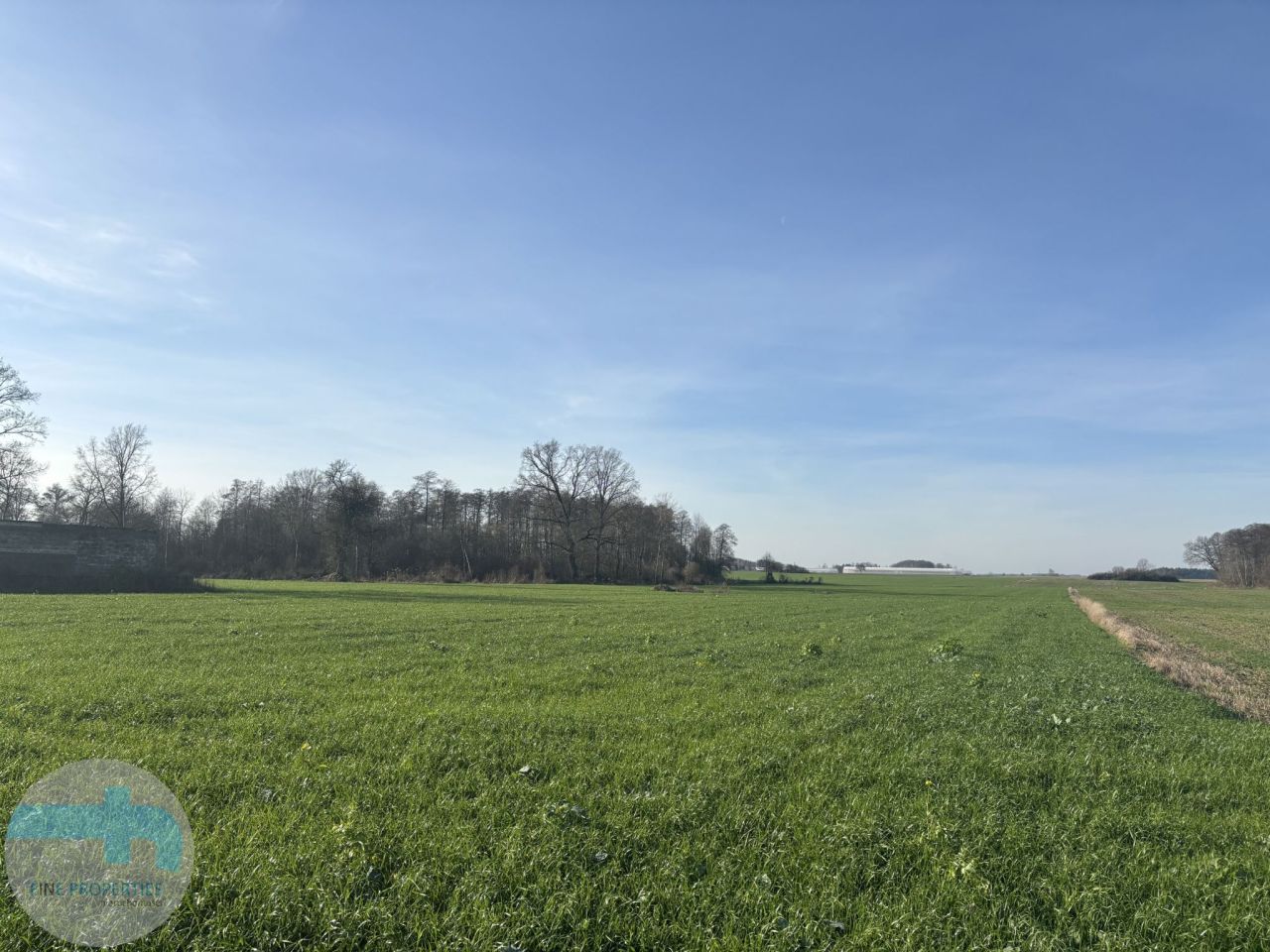 Działka siedliskowa Jaskółowo. Zdjęcie 2