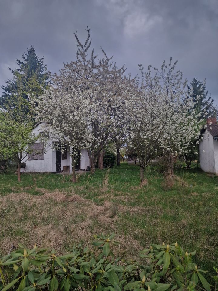 Działka rod Wrocław Partynice. Zdjęcie 4