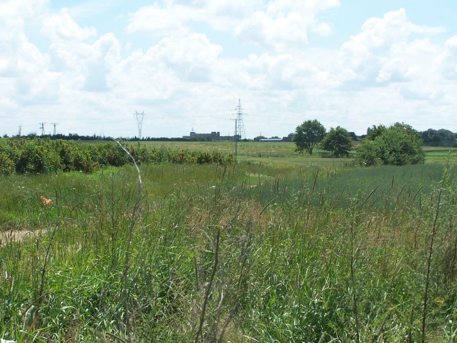 Działka rolno-budowlana Nałęczów. Zdjęcie 5