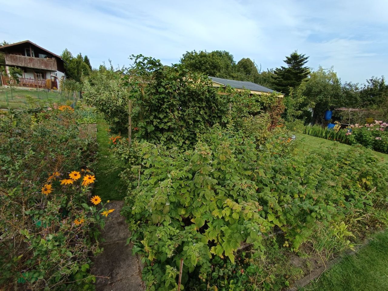 Działka rod Koszalin, ul. Wojska Polskiego. Zdjęcie 8