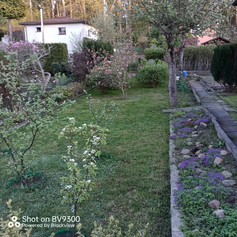 Działka rod Gdynia Chwarzno-Wiczlino. Zdjęcie 5