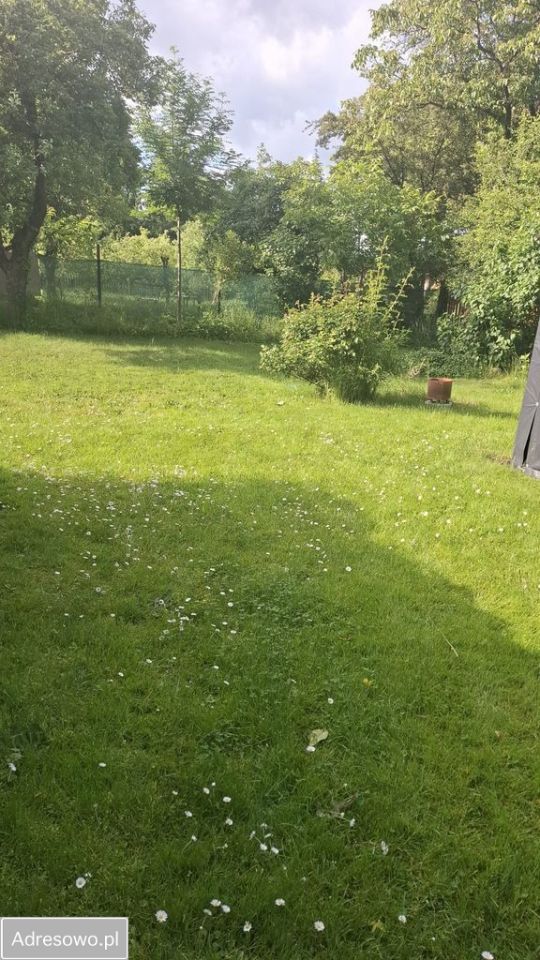 Mieszkanie 2-pokojowe Olszanica. Zdjęcie 10