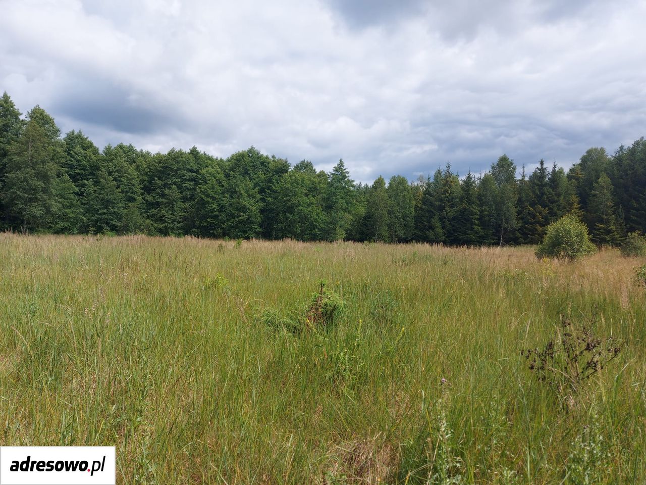 Działka inna Wiluki. Zdjęcie 6