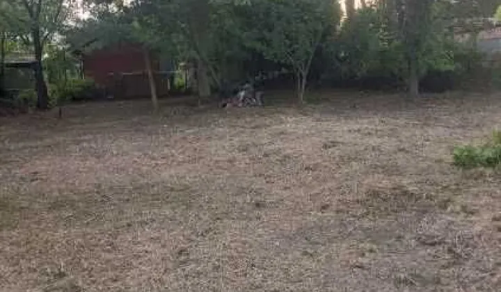 Działka rod Czeladź Piaski, ul. Borowa