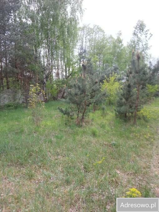 Działka budowlana Kamion. Zdjęcie 7