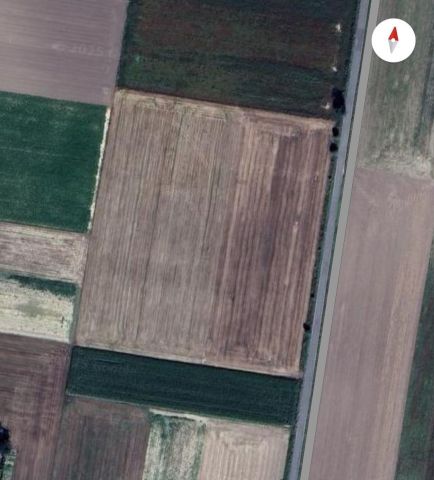 Działka inwestycyjna Naramice. Zdjęcie 1