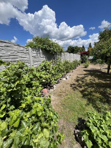 dom wolnostojący, 5 pokoi Nowa Sól Stare Żabno, ul. Targowa. Zdjęcie 25