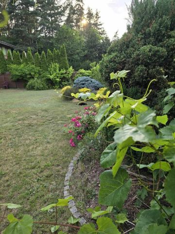 dom wolnostojący, 5 pokoi Kochlice, ul. Dębowa. Zdjęcie 6