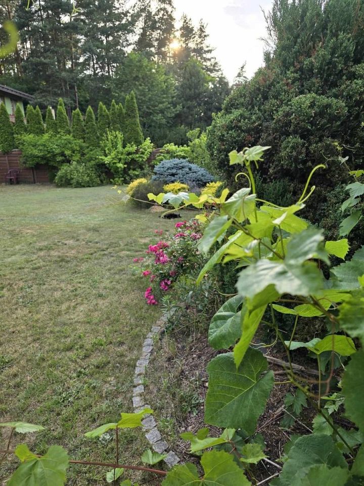 dom wolnostojący, 5 pokoi Kochlice, ul. Dębowa. Zdjęcie 6