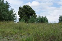 Działka budowlana Nagodów. Zdjęcie 4