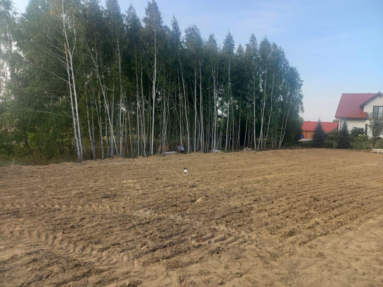 Działka budowlana Żmijewko. Zdjęcie 1