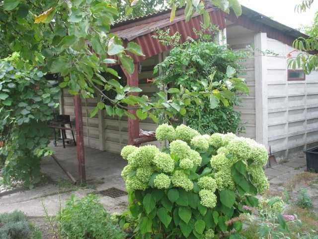 Działka rekreacyjna Ostrów Wielkopolski, ul. Spichrzowa. Zdjęcie 1