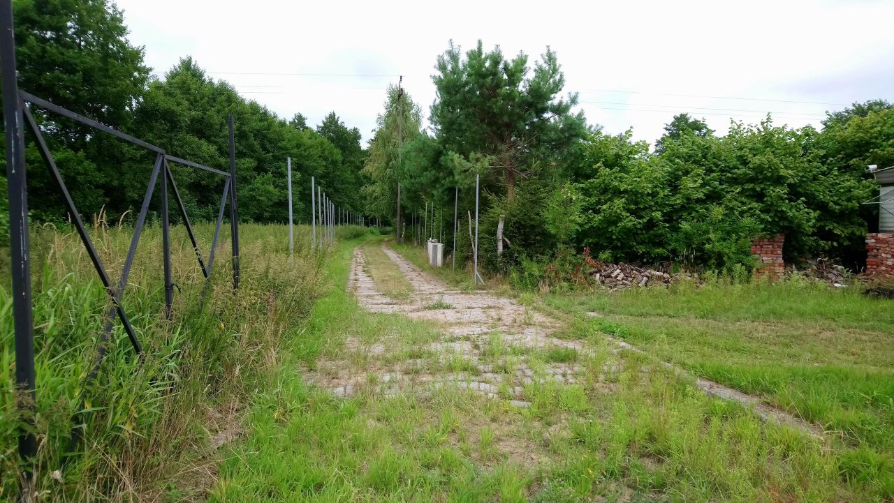 Działka rolno-budowlana Izbica Lisia Góra. Zdjęcie 11