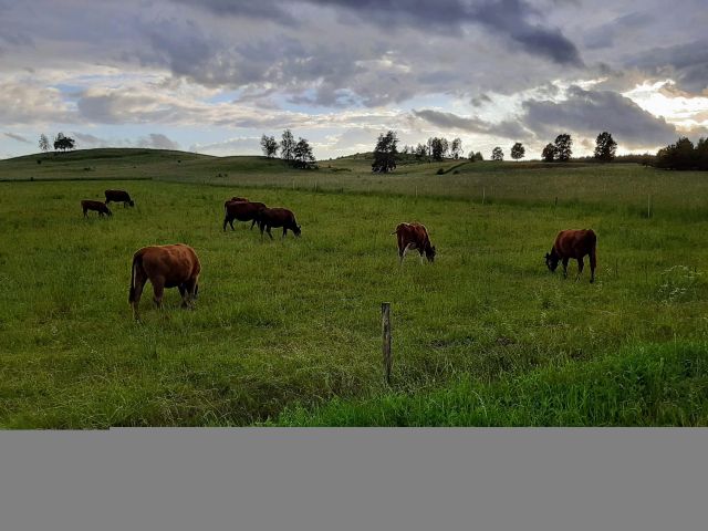 Działka rolno-budowlana Bobrowniki. Zdjęcie 1