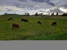 Działka rolno-budowlana Bobrowniki