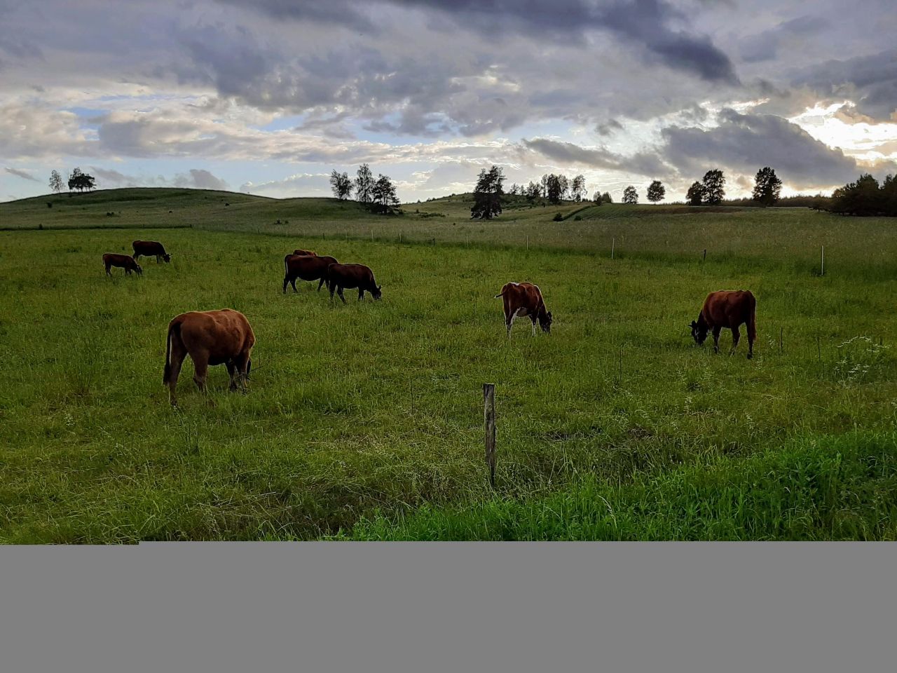 Działka rolno-budowlana Bobrowniki