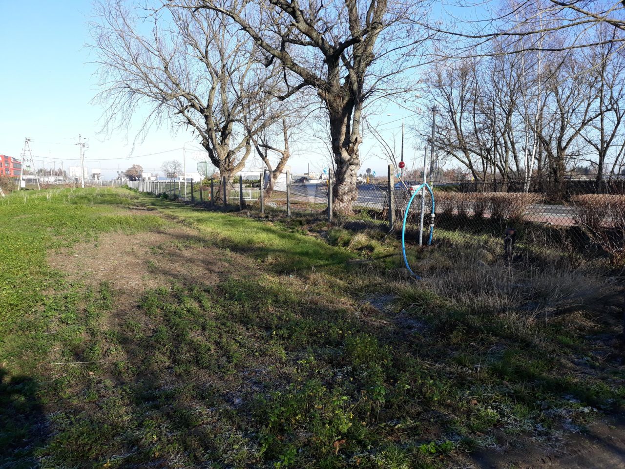 Nieruchomość komercyjna Tarczyn, ul. Warszawska. Zdjęcie 12