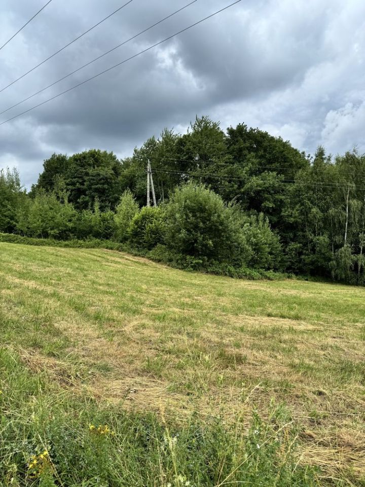 Działka rolna Szymbark Szklarka. Zdjęcie 5