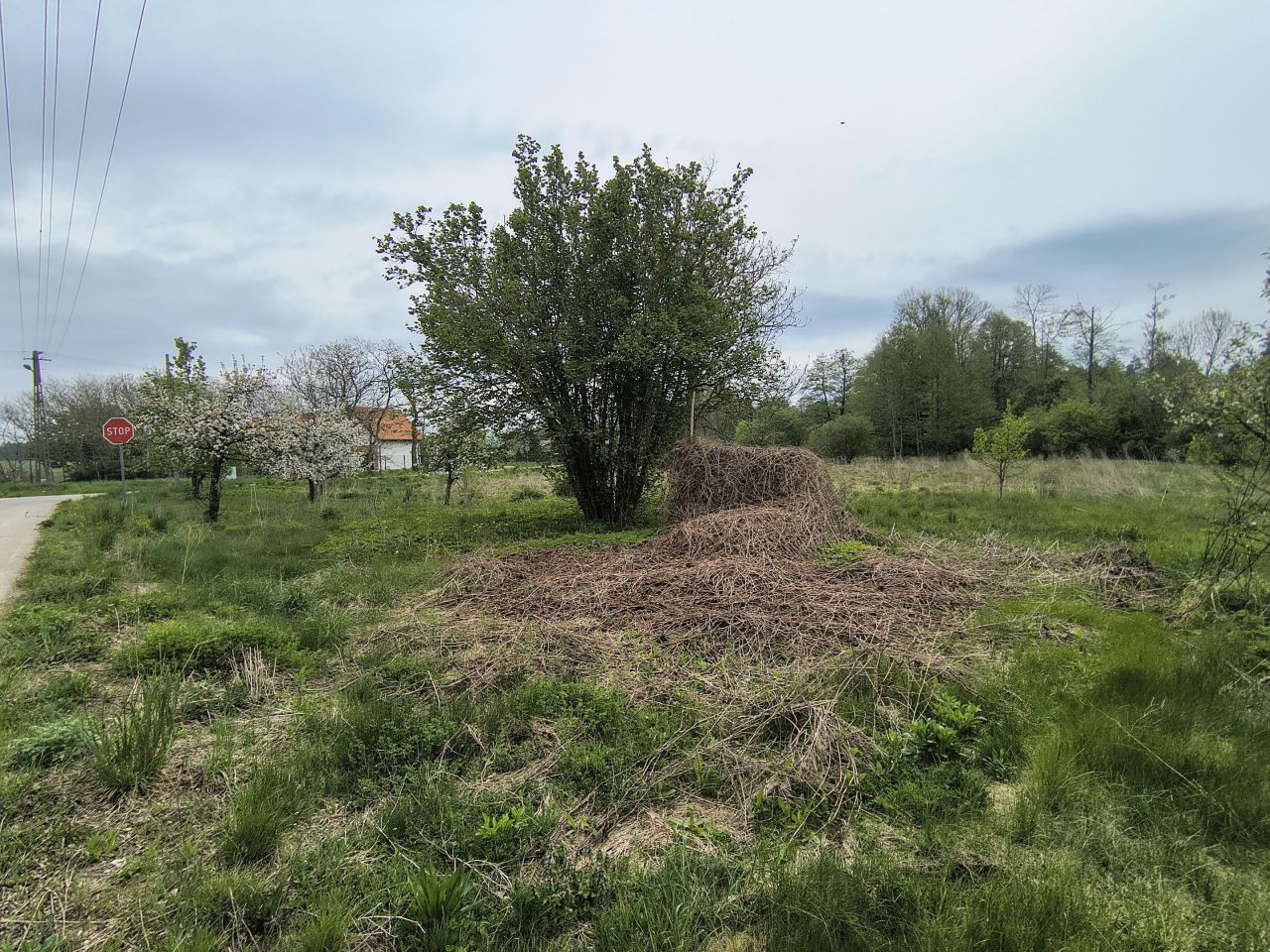 bliźniak, 4 pokoje Chmielewo. Zdjęcie 21