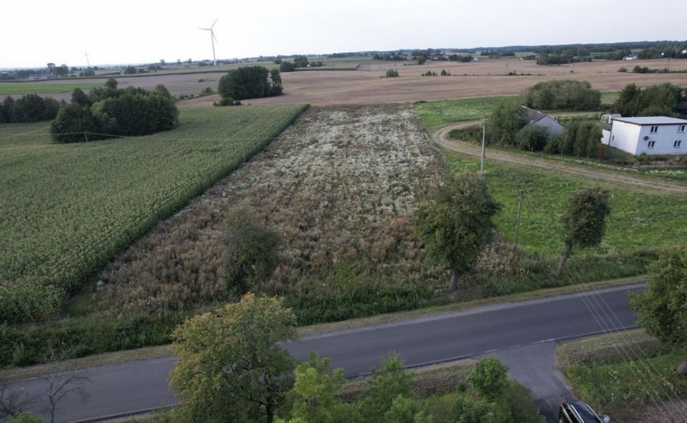 Działka budowlana Rypałki Prywatne. Zdjęcie 4