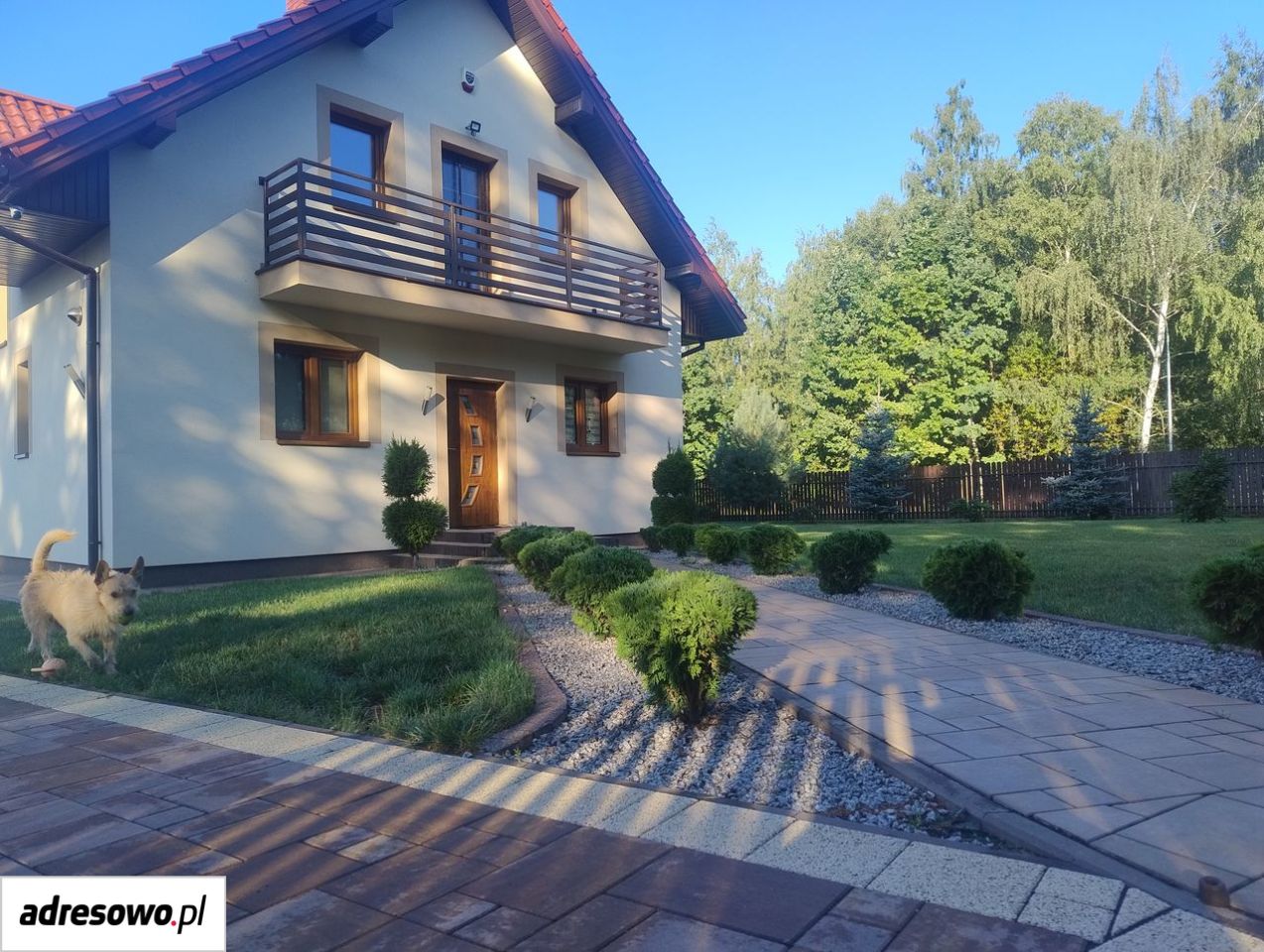 dom wolnostojący, 5 pokoi Budy Zosine. Zdjęcie 20