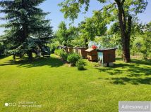 siedlisko Dołhobyczów. Zdjęcie 1