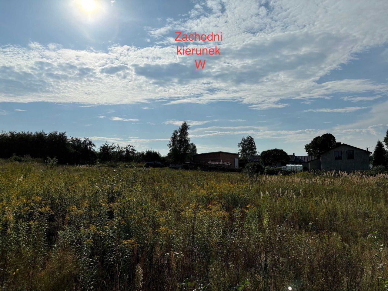 Działka rolno-budowlana Żelazna. Zdjęcie 4