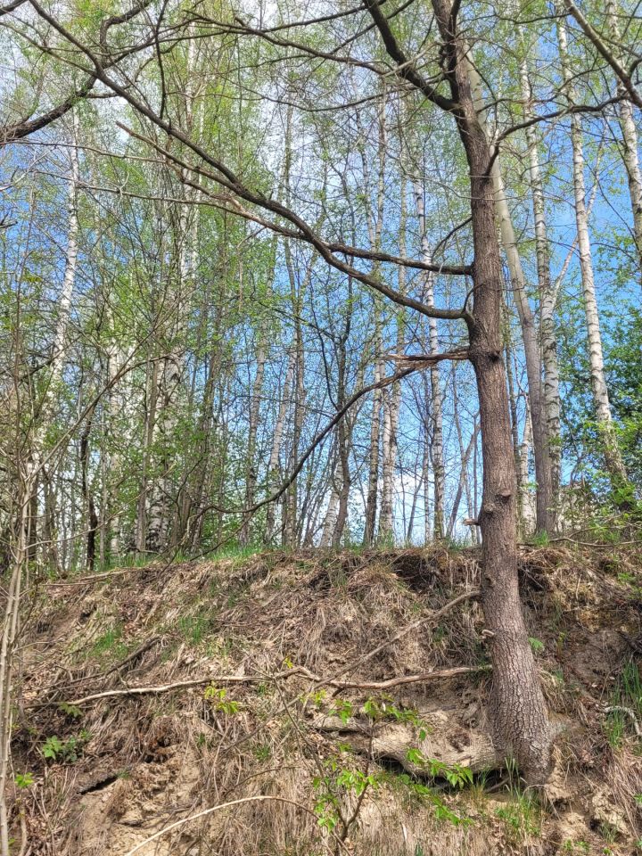 Działka budowlana Naprawa. Zdjęcie 5