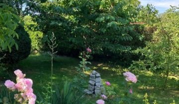 Działka rod Katowice Śródmieście