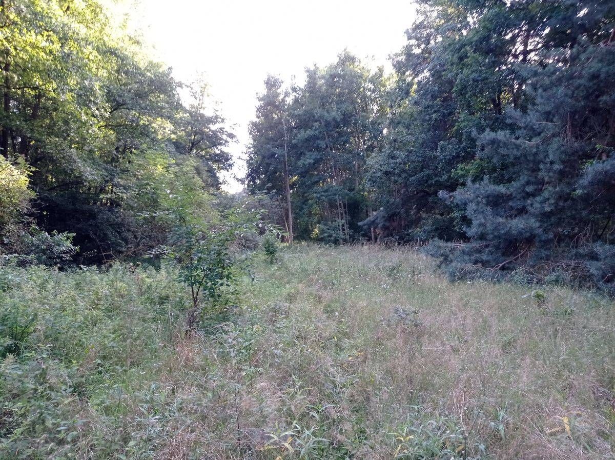 Działka rolna Kicin