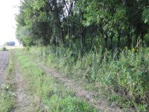 Działka siedliskowa Stawki. Zdjęcie 2