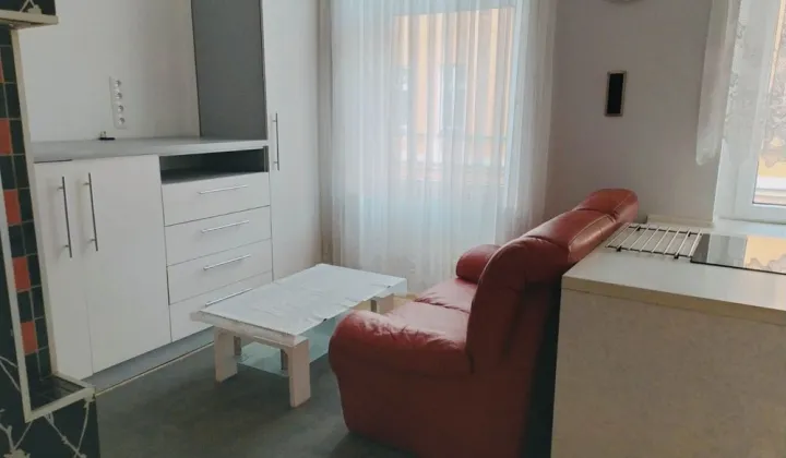 Mieszkanie 1-pokojowe Oleśnica Centrum