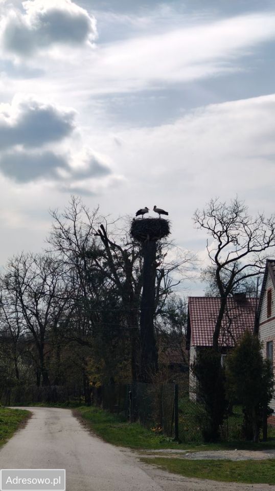 dom wolnostojący, 4 pokoje Obiechów. Zdjęcie 6