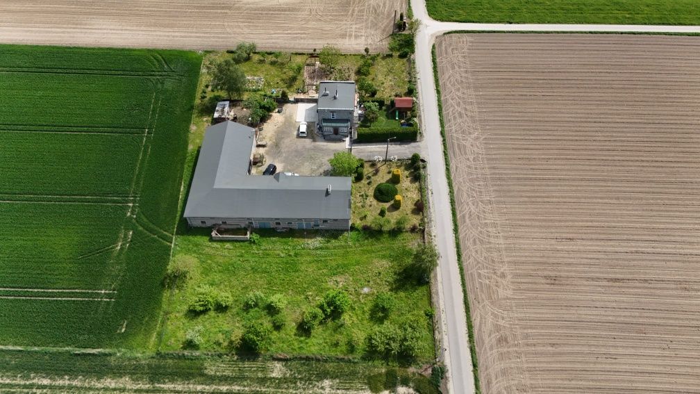 Działka rolna Krzyżanów. Zdjęcie 3