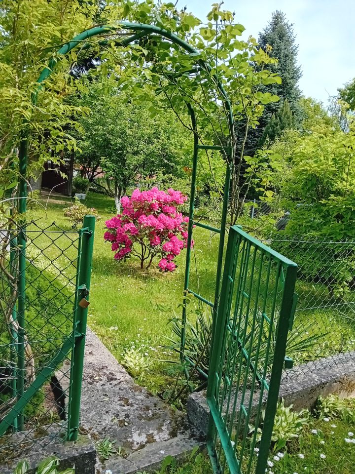 Działka rod Kraków Bronowice, ul. Sportowa. Zdjęcie 2