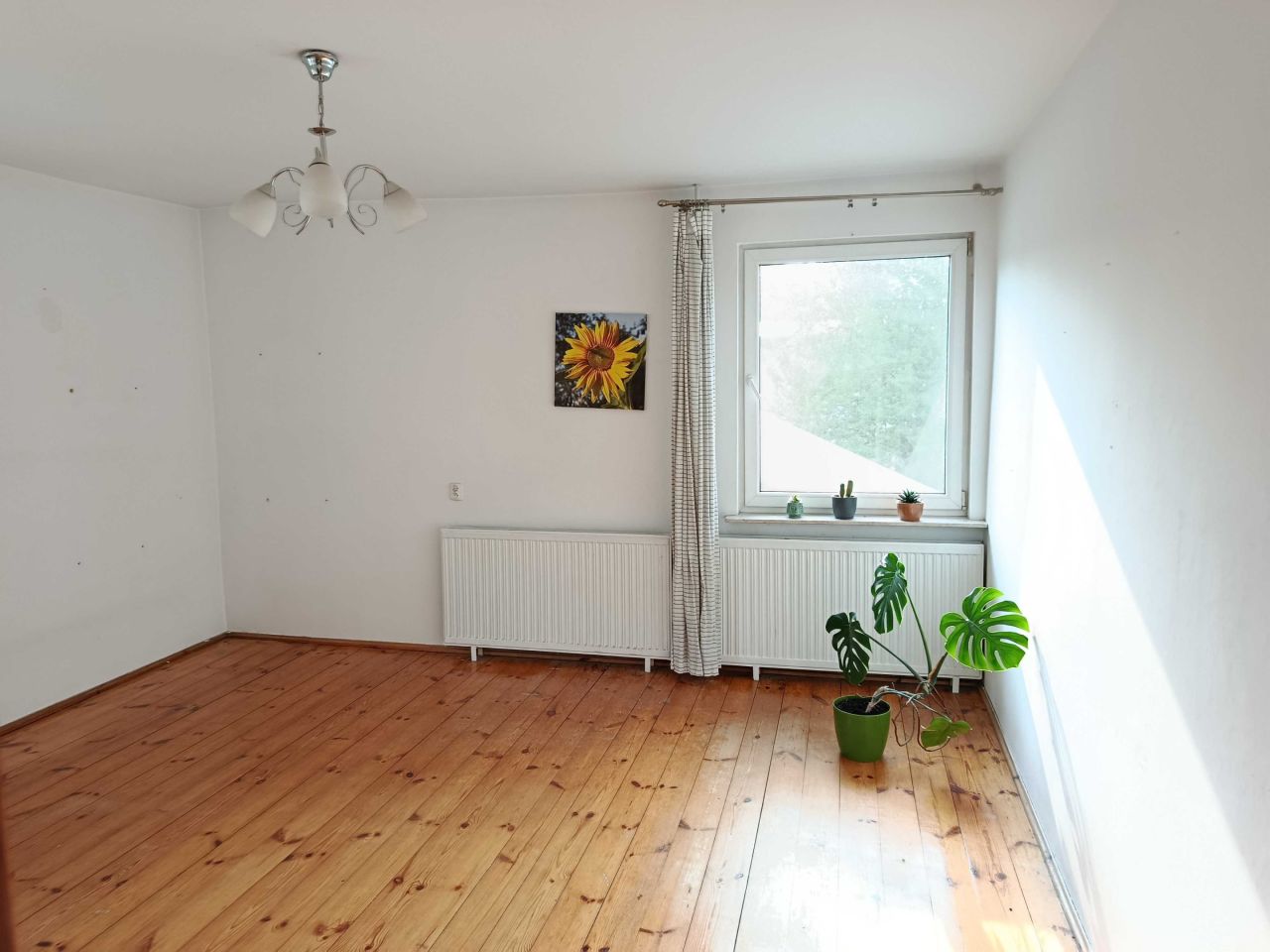 dom wolnostojący, 3 pokoje Brody Małe. Zdjęcie 6