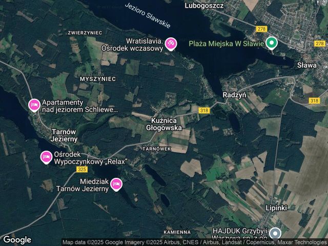 Działka budowlana Kuźnica Głogowska Tarnówek. Zdjęcie 1