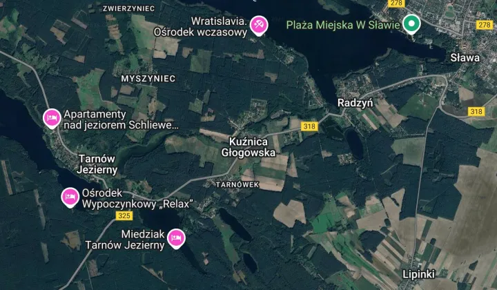 Działka budowlana Kuźnica Głogowska Tarnówek