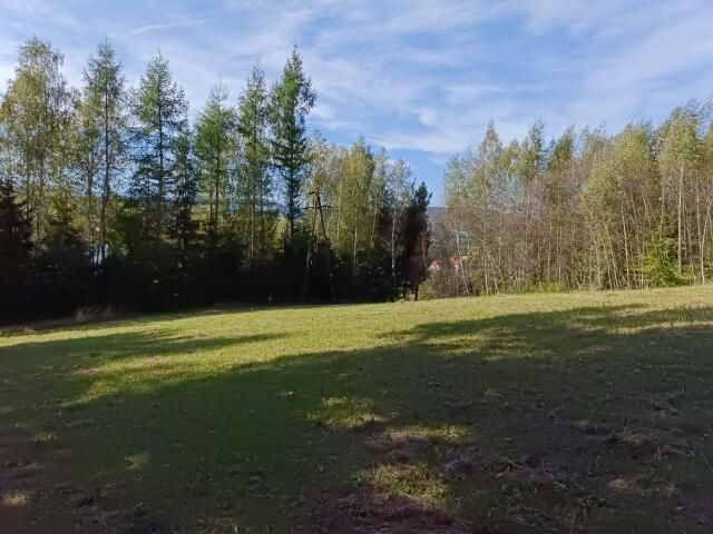 Działka budowlana Lutcza. Zdjęcie 6