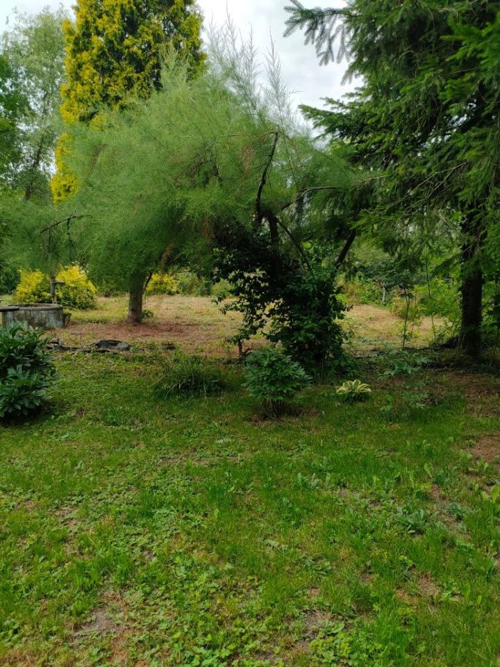 Działka rod Kędzierzyn-Koźle Koźle, ul. Raciborska. Zdjęcie 3