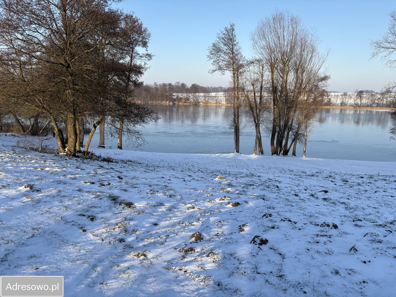 Działka inwestycyjna Kołdrąb. Zdjęcie 6