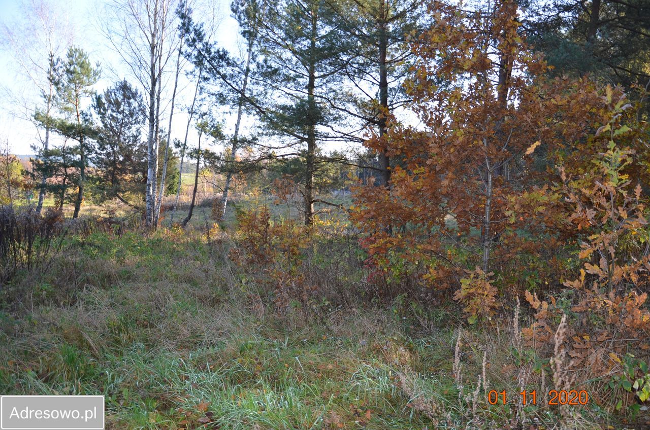 Działka budowlana Cerkiewnik. Zdjęcie 3