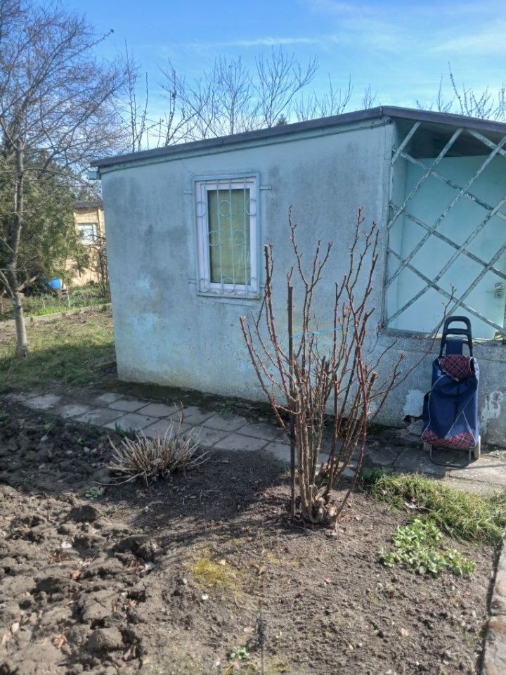 Działka rod Gorzów Wielkopolski. Zdjęcie 2