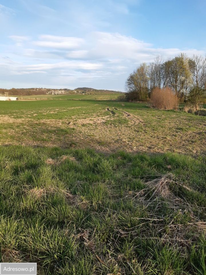 Działka rolno-budowlana Dobrocin. Zdjęcie 4